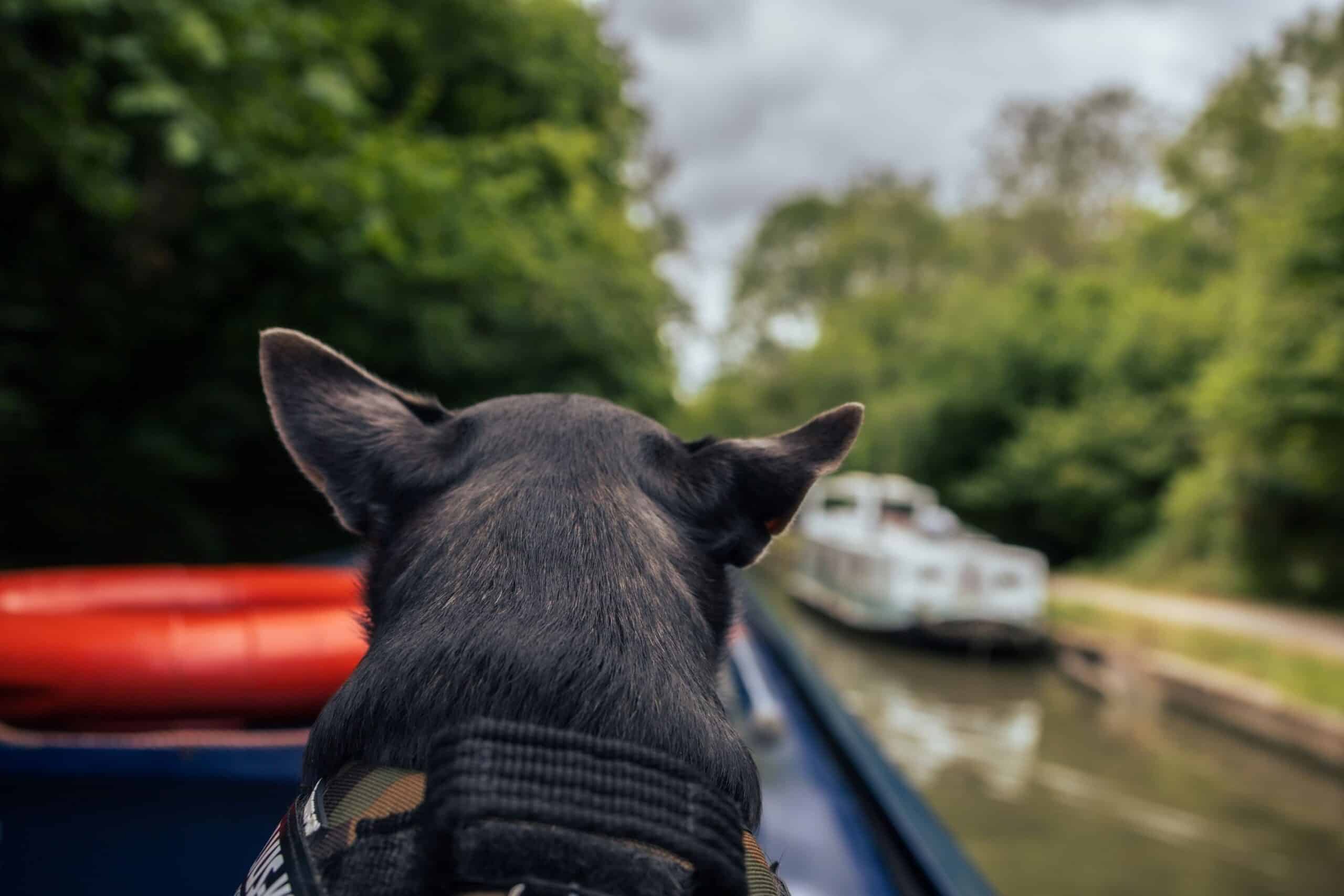 Top 5 cosy pubs to cruise to on a canal boat holiday this winter