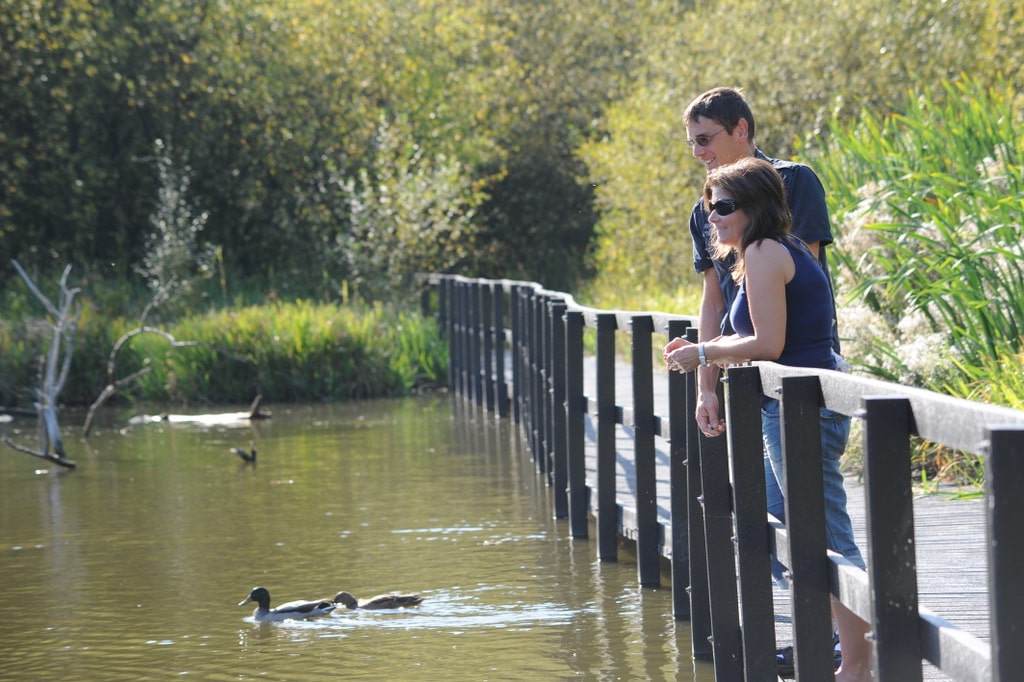 Fradley Pool Nature Reserve at Fradley Junction